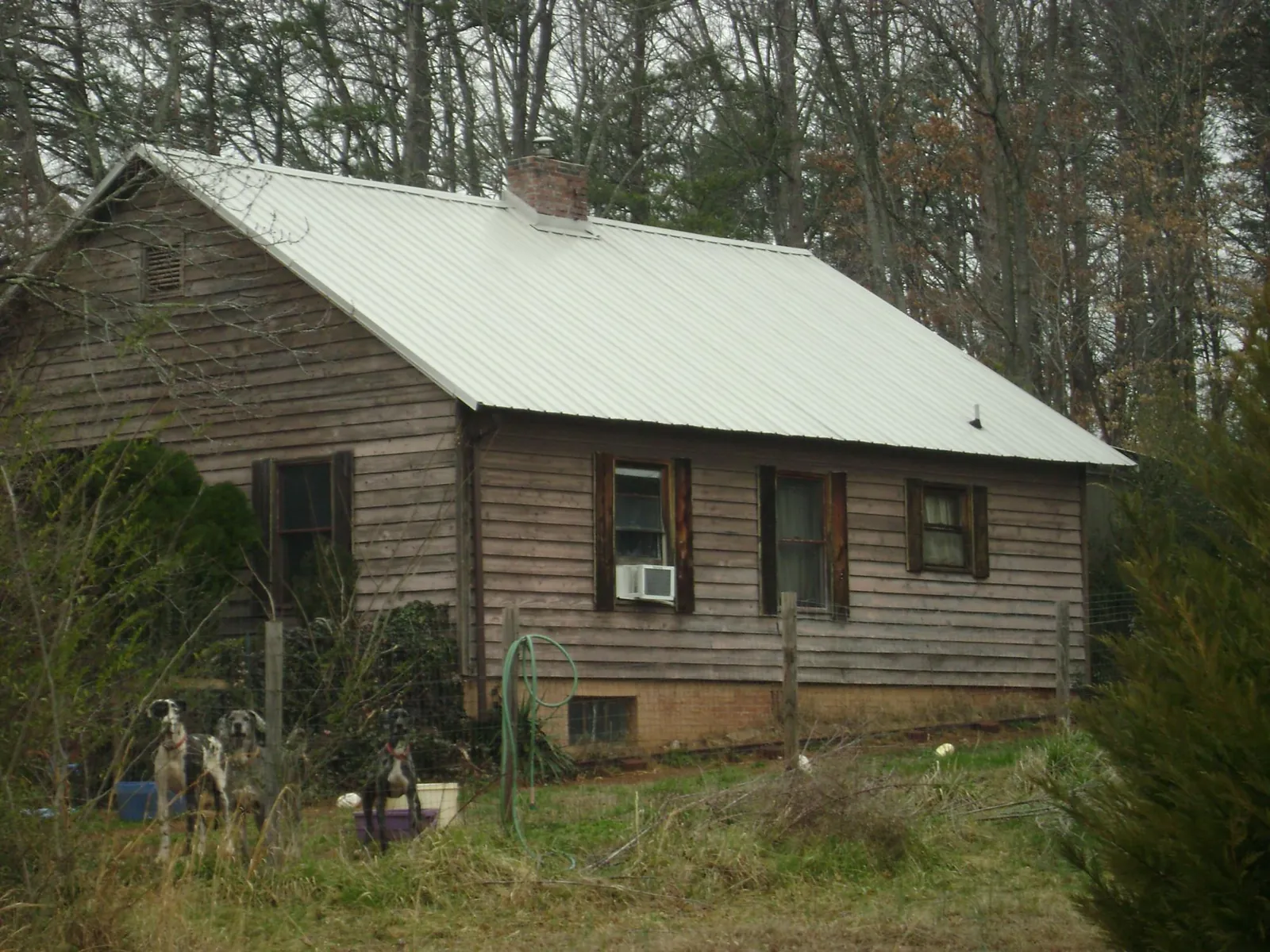 White metal roof on an old wood sided farmhouse, from a Asphalt Shingle Roof Repair job in Angola